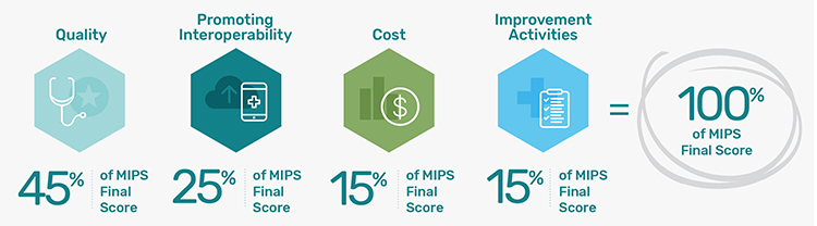 MIPS 2019 Category Scores
